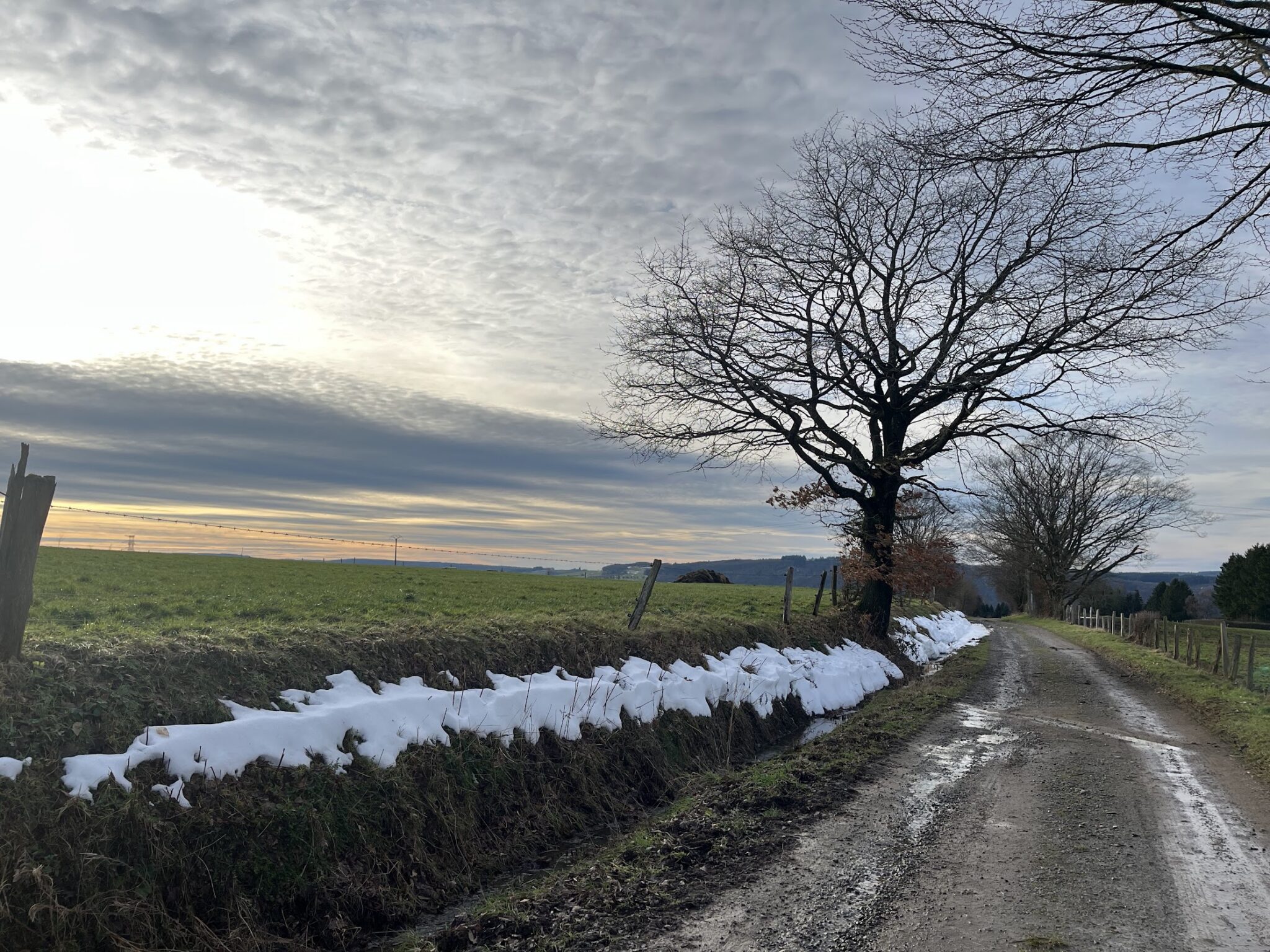 De quotes van mijn moeder