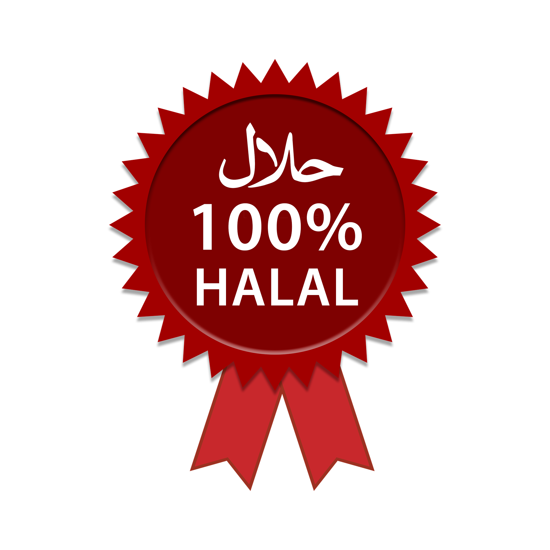 Leve de ongeregelde halal!