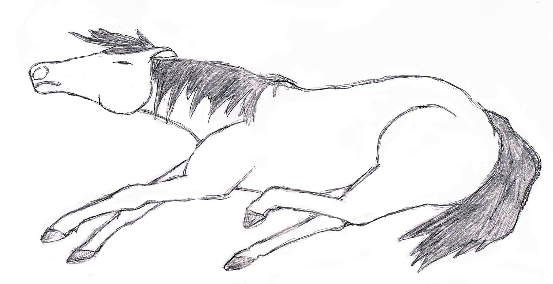 Een dood paard